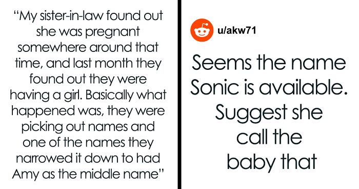 Parent Questions If They’re A Jerk For Not Making Son Change Pet’s Name When Aunt Wants It For Baby