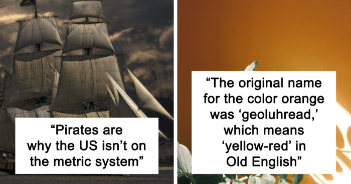 67 People Reveal The Dumbest Facts That Are Actually True