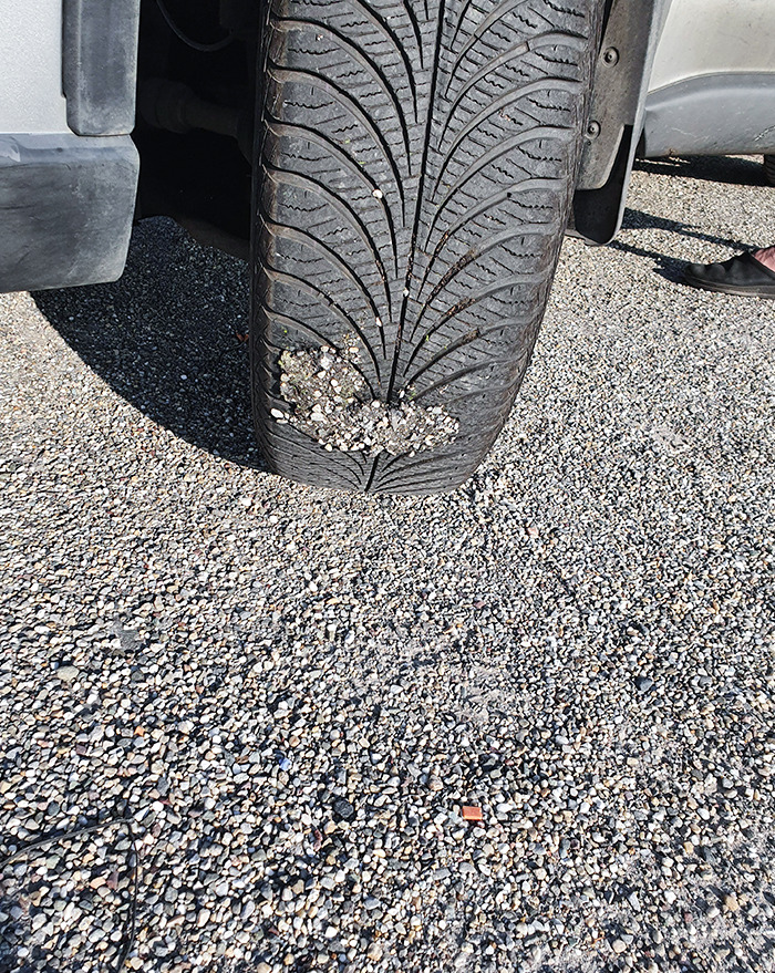 Tarmac Got So Hot, It Stuck To The Tire