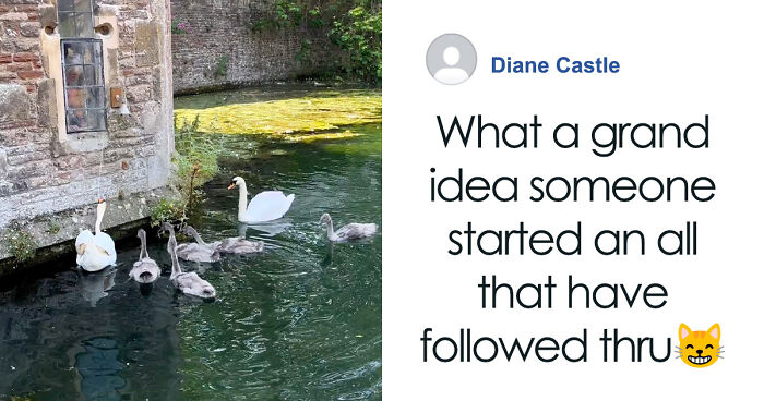 Small Town In England Has A Unique Attraction Of Bell-Ringing Swans