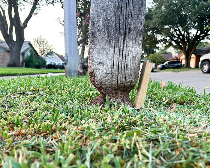 My Parents' Mailbox Has Been Whittled Down A Bit After Getting Weed Whacked For 50 Years