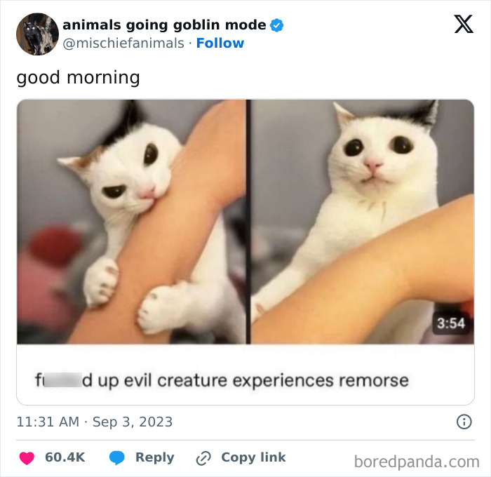 Animals-Going-Goblin-Mode-Pics