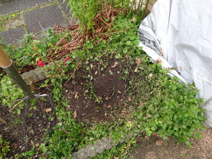 Woman Warns Baby's Nanny Not To Touch Her Flower Garden, Finds That Everything Has Been Dug Up