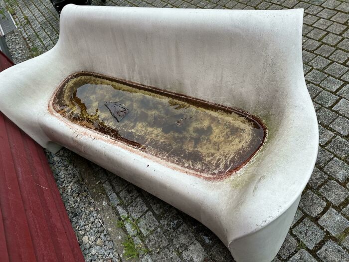 A Water Filled Bench, As There Are No Holes…