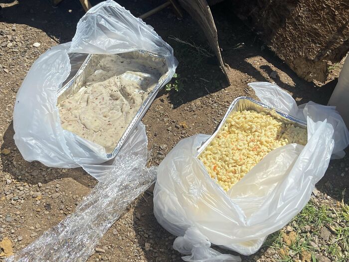 Neighbor Had A Party And Then Just Left Entire Food Trays In The Alleyway