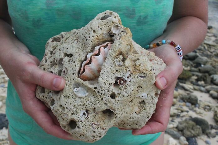 The Philippines Has Some Pretty Epic Beach Combing