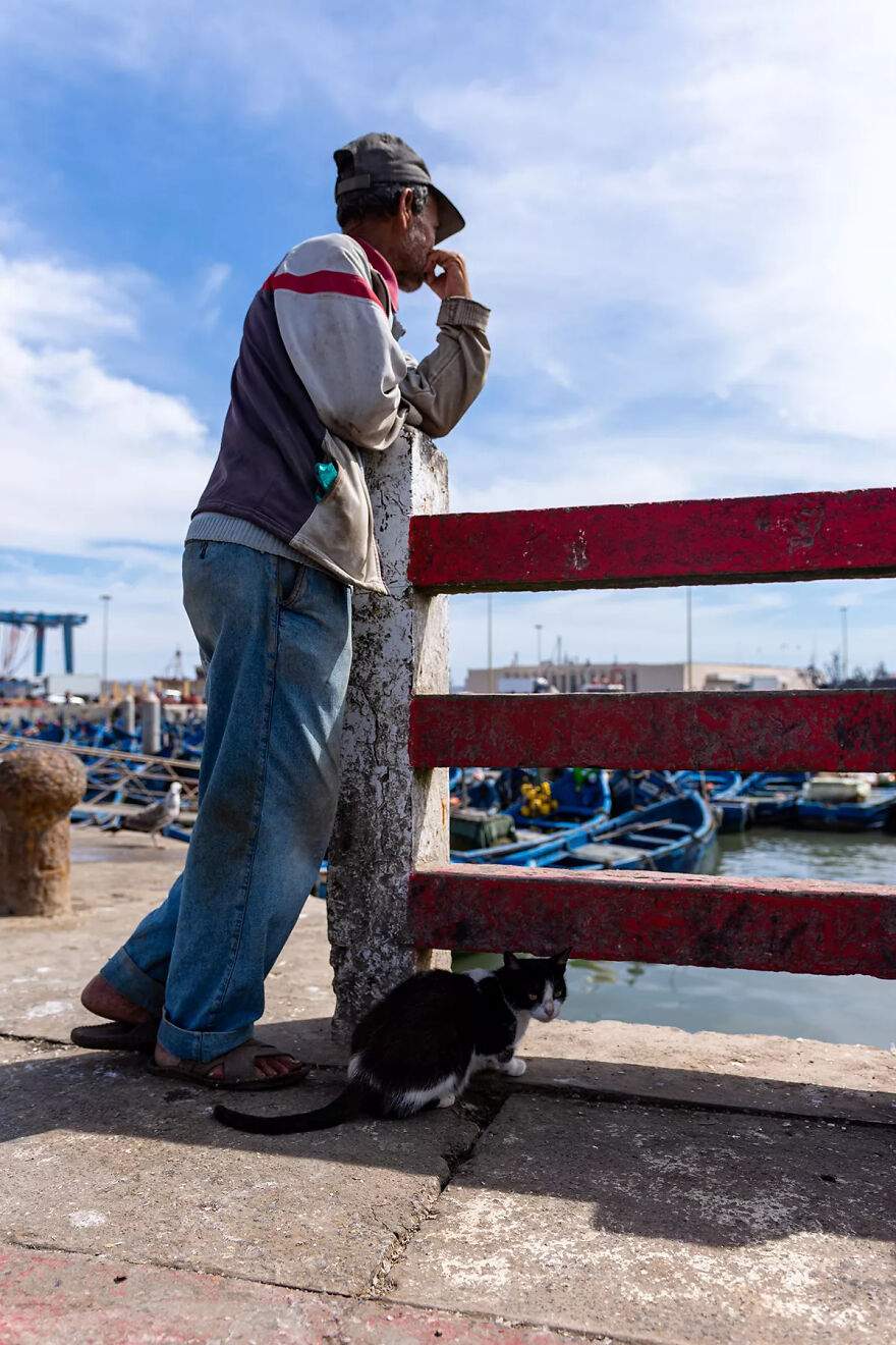 I Was Taking Photos Of Stray Cats Hours Before The Earthquake