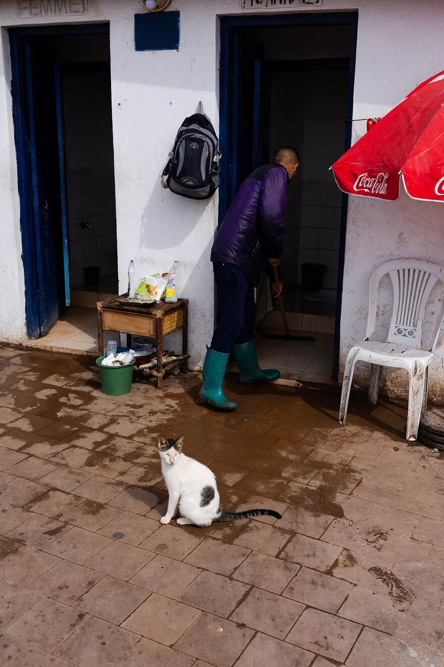 I Was Taking Photos Of Stray Cats Hours Before The Earthquake