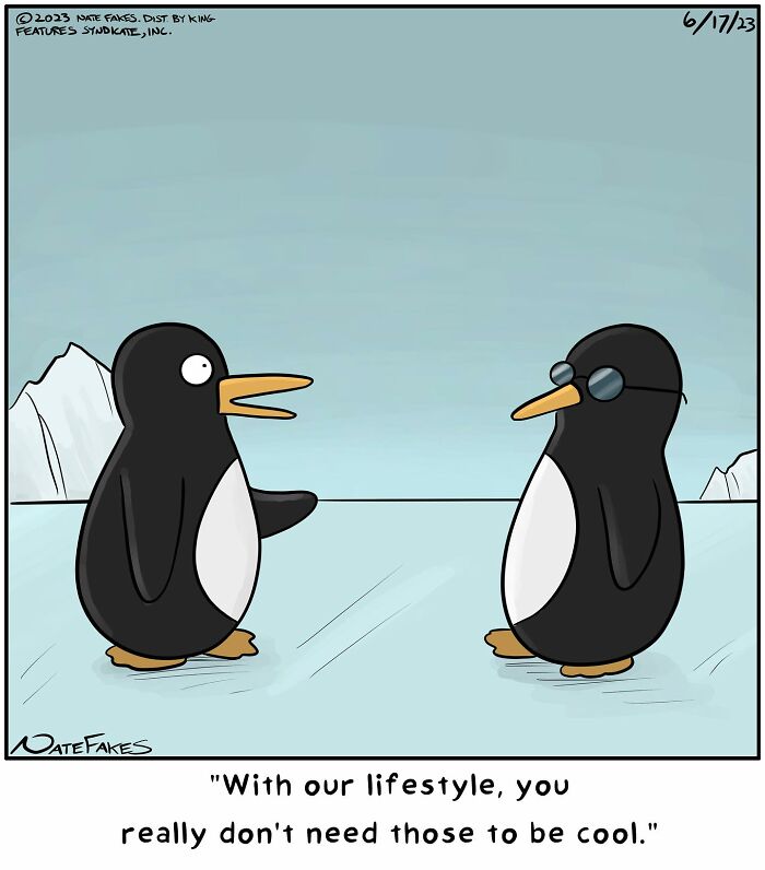 Cool penguin 