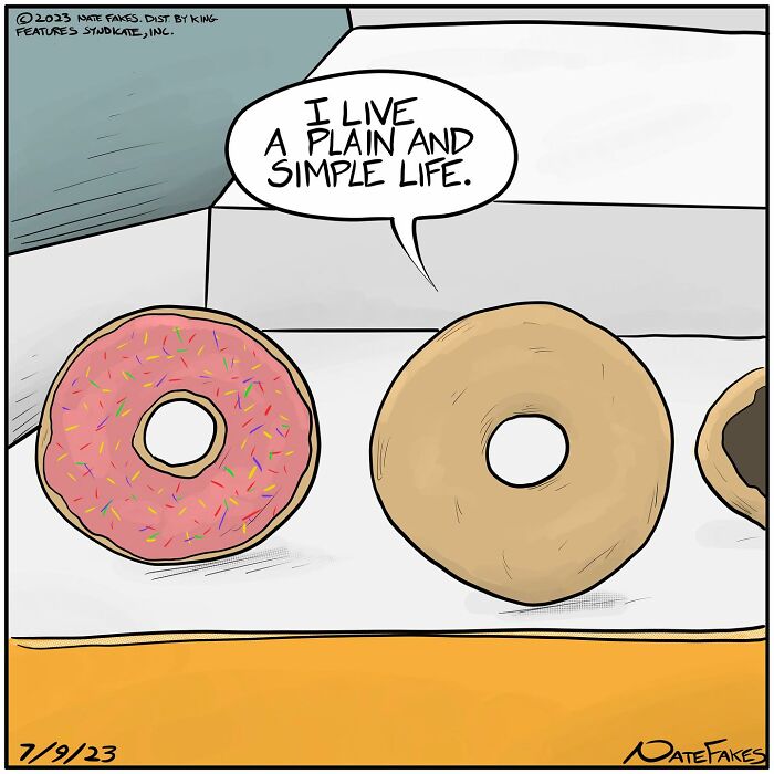 Plain donut