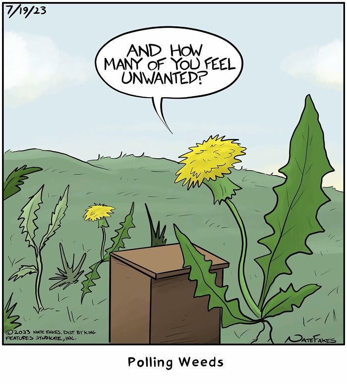 Weeds