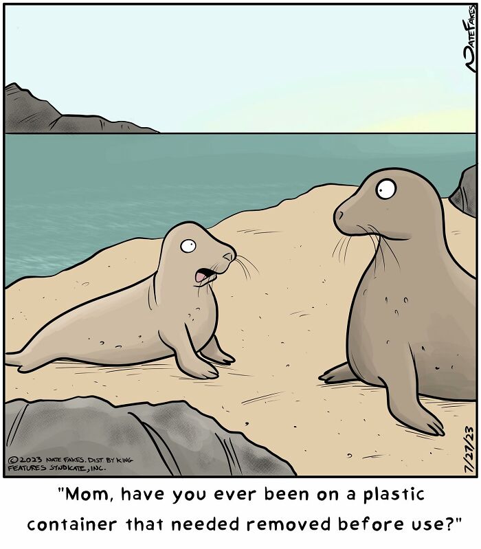 Seals