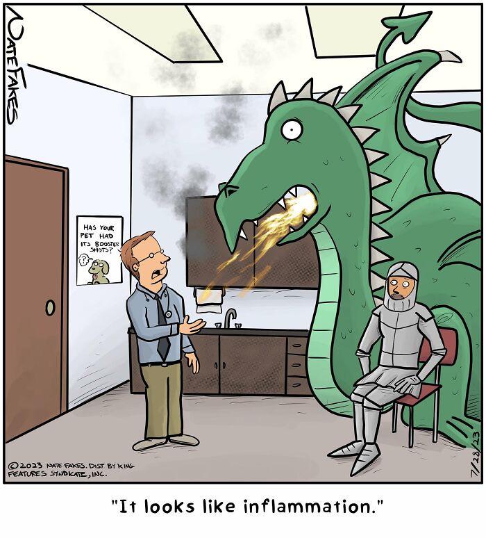 Dragon's inflammation 