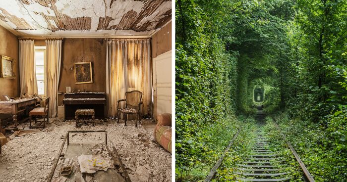 In My 25 Photos Of Abandoned Places, You Can See That Nature Doesn't Need Much Space To Thrive