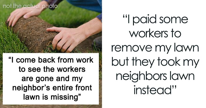 Person Doesn't Know What To Do After Workers Remove Their Neighbor's Lawn Instead Of Theirs