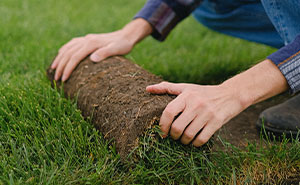 “That’s Hilarious”: Man Returns Home, Has No Idea Where His Entire Lawn Went