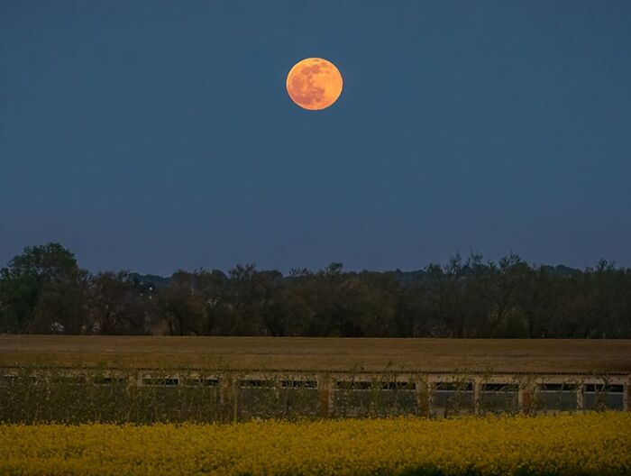 Blue-Super-Moon-Photos-From-World