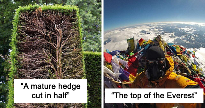 51 Pics Of Places And Things From Rarely Seen Perspectives