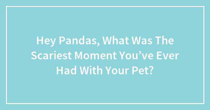 Hey Pandas, What Was The Scariest Moment You’ve Ever Had With Your Pet?