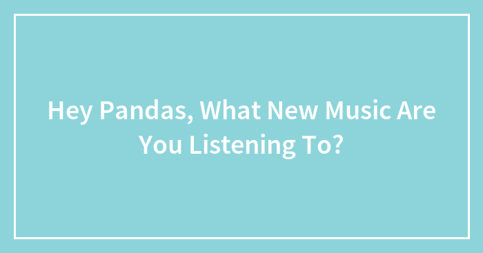 Hey Pandas, What New Music Are You Listening To?