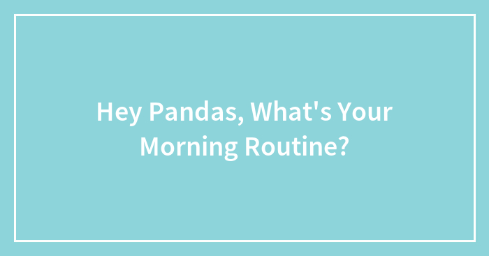 Hey Pandas, What’s Your Morning Routine? (Closed)