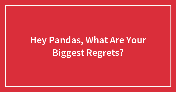 Hey Pandas, What Are Your Biggest Regrets? (Closed)