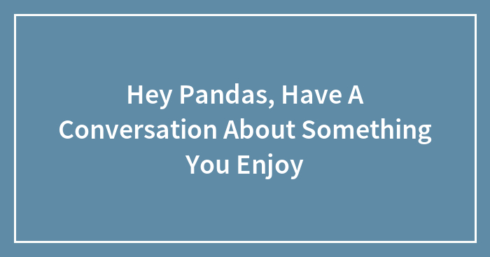 Hey Pandas, Have A Conversation About Something You Enjoy (Closed)