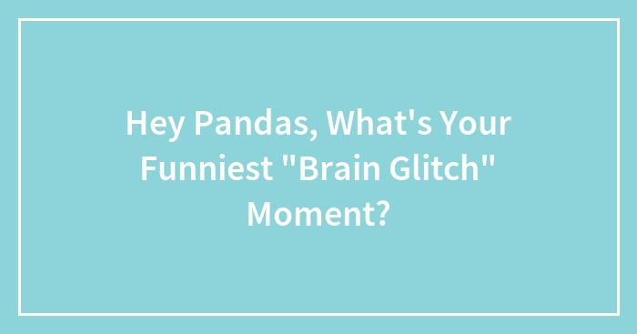 Hey Pandas, What’s Your Funniest “Brain Glitch” Moment?