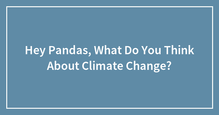 Hey Pandas, What Do You Think About Climate Change?