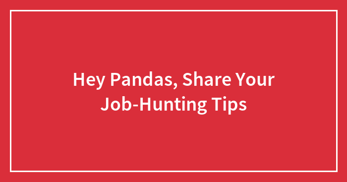 Hey Pandas, Share Your Job-Hunting Tips (Closed)