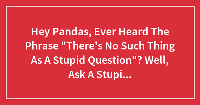 Hey Pandas, Ever Heard The Phrase “There’s No Such Thing As A Stupid Question”? Well, Ask A Stupid Question