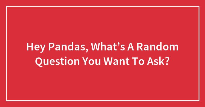 Hey Pandas, What’s A Random Question You Want To Ask?