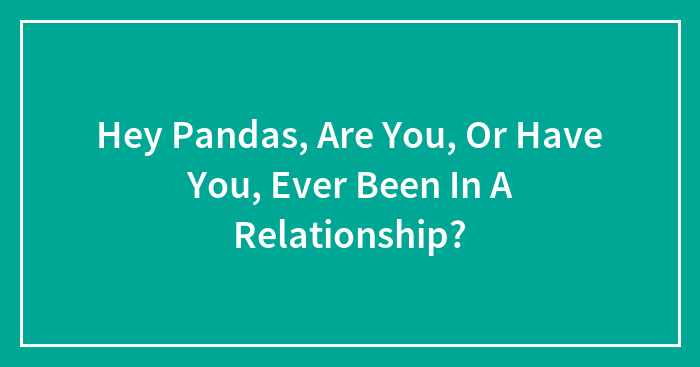 Hey Pandas, Are You, Or Have You, Ever Been In A Relationship?