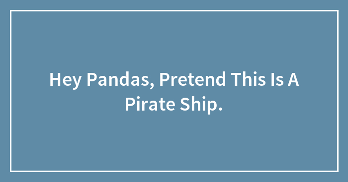 Hey Pandas, Let’s Pretend This Is A Pirate Ship (Closed)