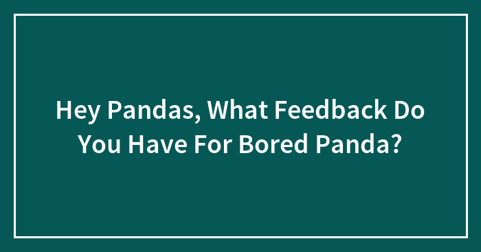 Hey Pandas, What Feedback Do You Have For Bored Panda? (Closed)