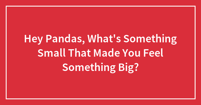 Hey Pandas, What’s Something Small That Made You Feel Something Big? (Closed)