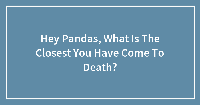 Hey Pandas, What Is The Closest You Have Come To Death?