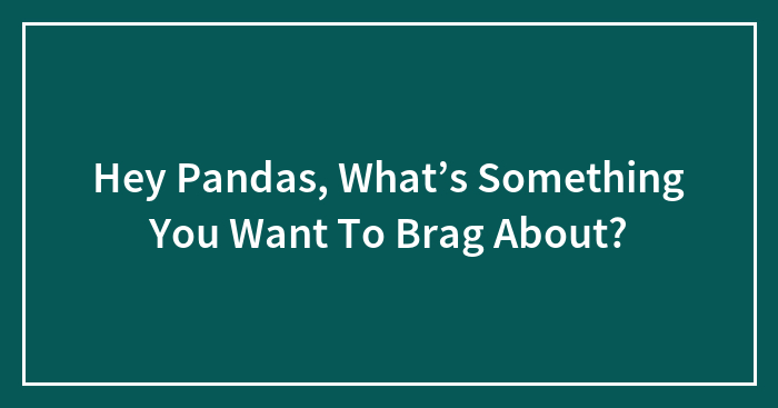 Hey Pandas, What’s Something You Want To Brag About?