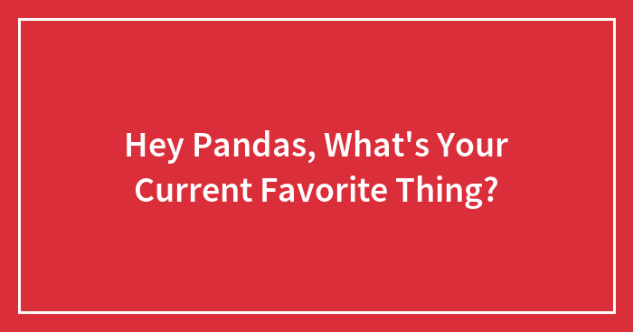 Hey Pandas, What’s Your Current Favorite Thing? (Closed)