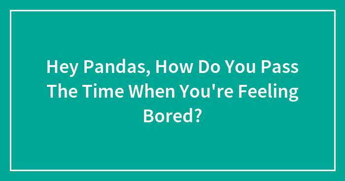 Hey Pandas, How Do You Pass The Time When You’re Feeling Bored? (Closed)