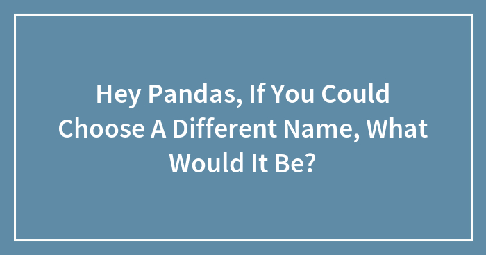 Hey Pandas, If You Could Choose A Different Name, What Would It Be? (Closed)