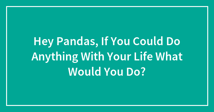 Hey Pandas, If You Could Do Anything With Your Life What Would You Do? (Closed)