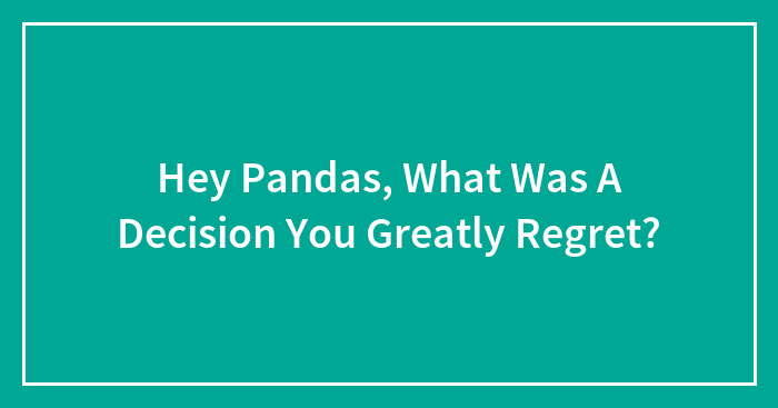 Hey Pandas, What Was A Decision You Greatly Regret?