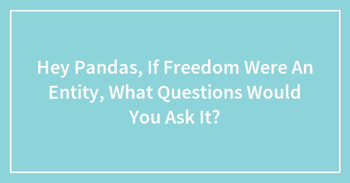 Hey Pandas, If Freedom Were An Entity, What Questions Would You Ask It? (Closed)