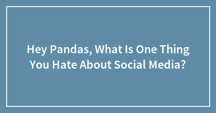 Hey Pandas, What Is One Thing You Hate About Social Media? (Closed)