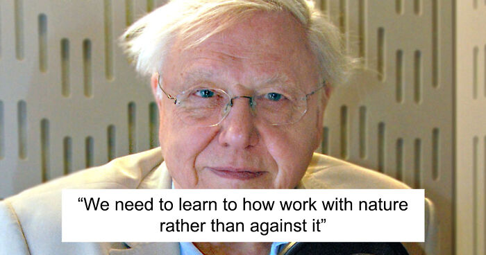 Nature Documentary Fans Are Excited To Hear 97 Y.O. David Attenborough Is Making A Return On BBC