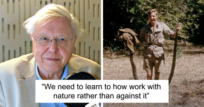 97 Y.O. Sir David Attenborough Returns To Television With New Series