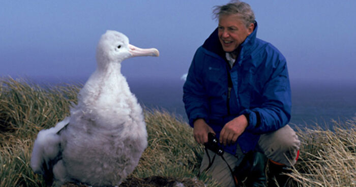 97 Y.O. David Attenborough Is Confirmed As Presenter Of BBC's New Series