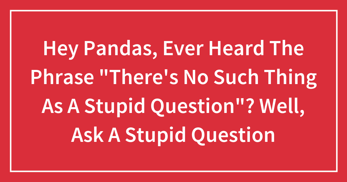 Hey Pandas, Ever Heard The Phrase “There’s No Such Thing As A Stupid ...