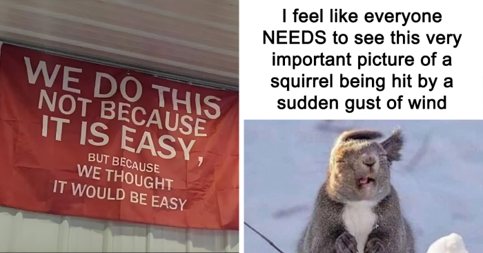 69 Hilariously Relatable Memes From ‘Cheerful Nihilism’